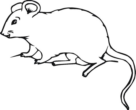 Mouse Coloring Pages Printable